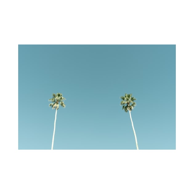 Tall fan palm trees against blue sky by brians101