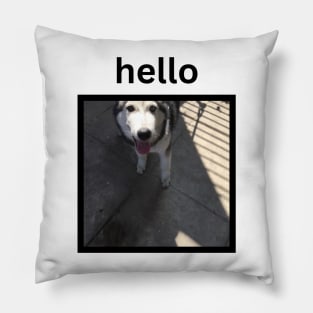 Cute Funny Silly Husky Dog Looking Up Hello Caption Pillow
