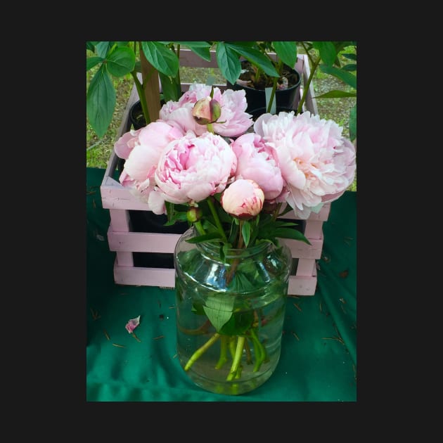 Pink Peonies 2 by ephotocard