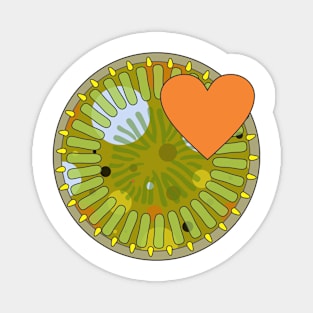 Diatom - Cyclotella (green) Magnet