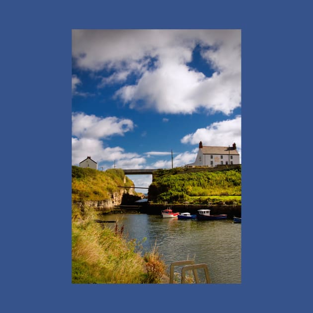 September Sunshine at Seaton Sluice by Violaman