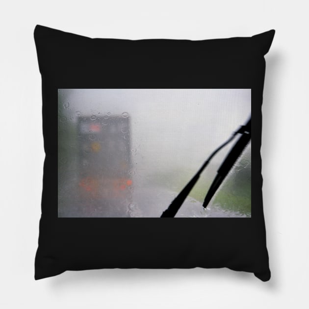 Terrifying: Looking Through A Glass Darkly: Monsoon, Borneo Pillow by Carole-Anne