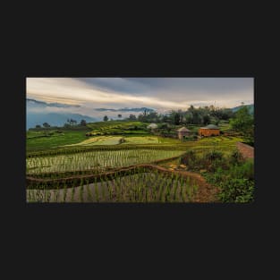 The Rice Terraces of Y Ty T-Shirt