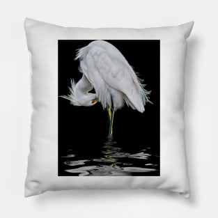 Snowy Egret Preening Pillow