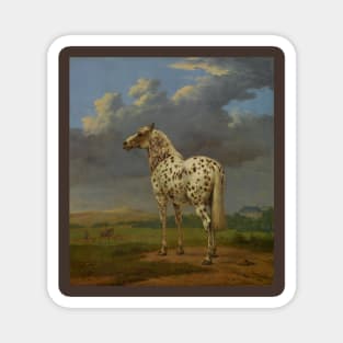 The 'Piebald' Horse by Paulus Potter Magnet
