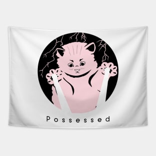 Possessed Cat Lover Tapestry