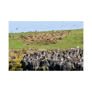 A Puffin Landscape - Farne Islands, Northumberland, UK T-Shirt