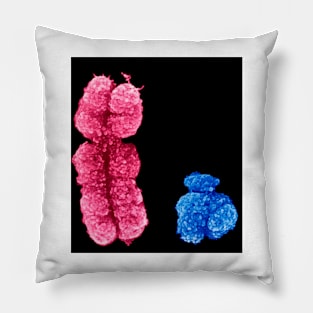 X and Y chromosomes (C003/0729) Pillow