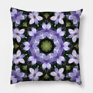 Mandala Kaleidoscope in Shades of Purple and Green Pillow