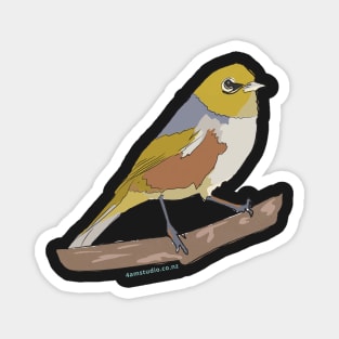 Hand Drawn New Zealand Waxeye Bird Magnet