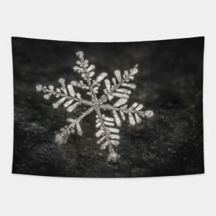 Freshly Fallen Snow Flake. Macro Photography Tapestry