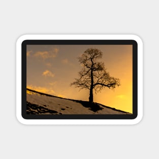 Alston - Lone Tree Sunset Magnet