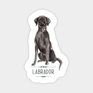 Black Labrador Magnet