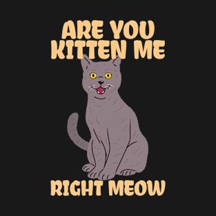 are you kitten me right meow cat kitting kidding T-Shirt