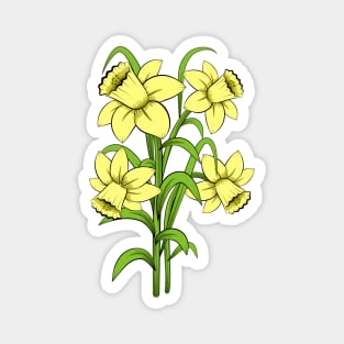 Daffodils Magnet