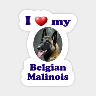 I Love My Belgian Malinois Magnet