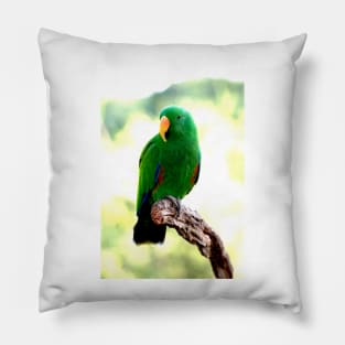 Eclectus Male Parrot Pillow