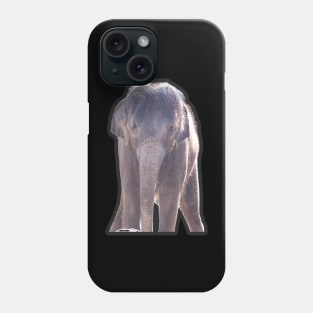 Asian Elephant Phone Case