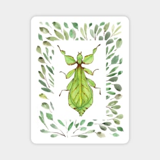Leaf Bug with Leaf Frame Watercolor Illustration Magnet