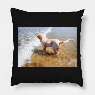 Wish you were here Spinone Pillow