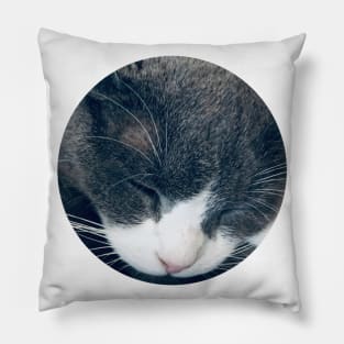 Sleeping Cat / Pictures of My Life Pillow