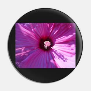 Purple Hibiscus Pin