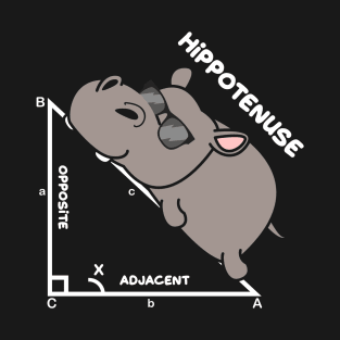 Math Mathematics Geometry Teacher Hypotenuse Hippo T-Shirt