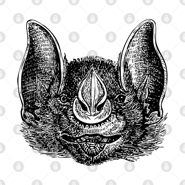 Vintage Vampire Bat by AmineDesigns