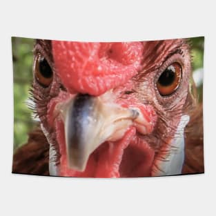 Rooster Photo Tapestry