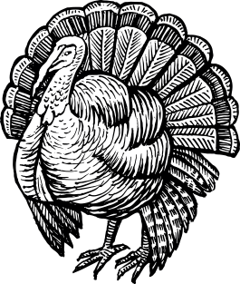 Turkey Magnet