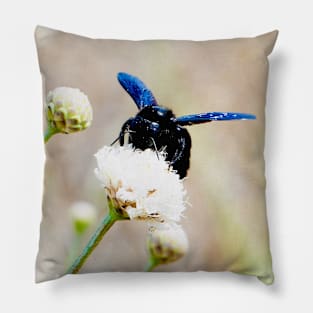 Blue Bee / Swiss Artwork Photography Pillow