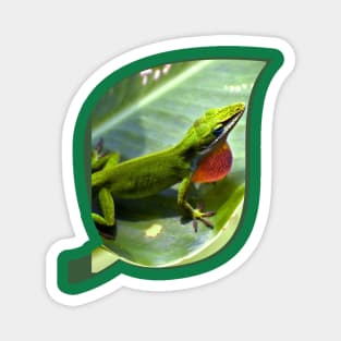 Lizard on a Leaf Magnet