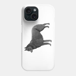 Schipperke Phone Case