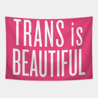 Trans Is Beautiful Tapestry