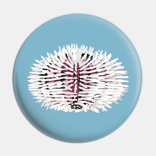 White and red sea urchin animal Pin by FabuleusePlanete