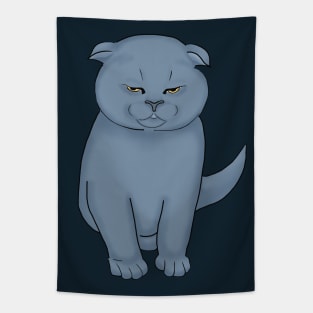 Angry cat with yellow eyes. Scottish fold kitten Tapestry