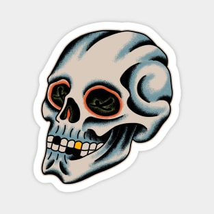 Skull Magnet