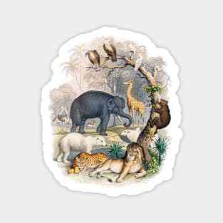 Wild Animals Vintage Illustration Lion Tiger Elephant Vulture Giraffe Magnet