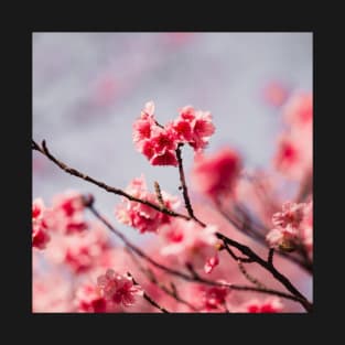 Pink Flowers T-Shirt