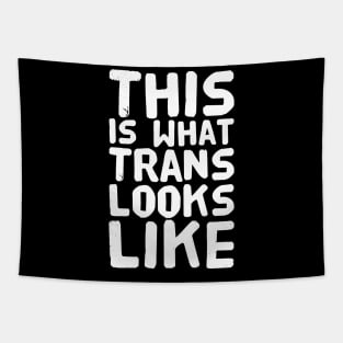 This is what trans looks like Tapestry