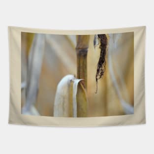 Corn silk Tapestry