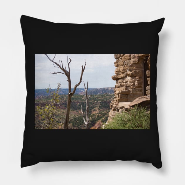 Canyon State Park Pillow by sma1050