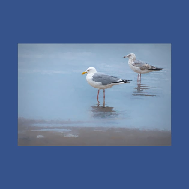 Seagulls At Boca Chica Beach by Debra Martz