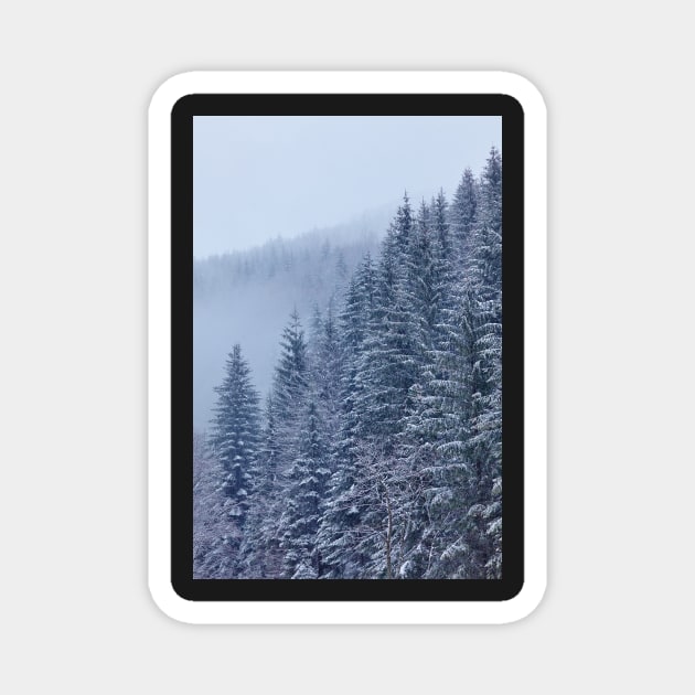 Snow-covered fir forest Magnet by naturalis