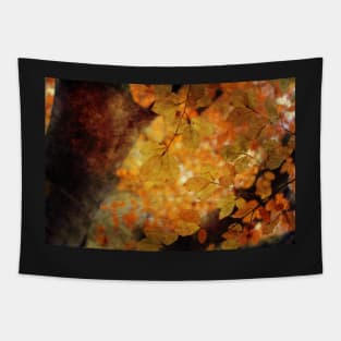 Warmth Tapestry