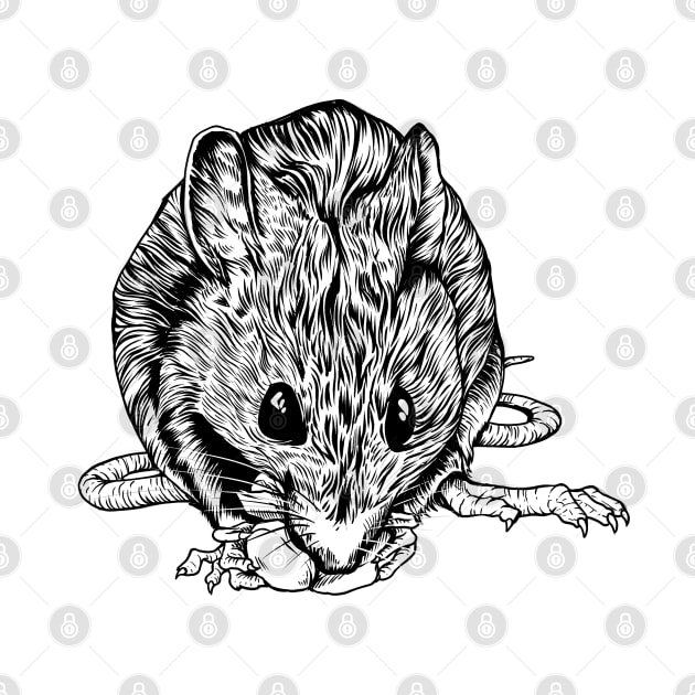 Drawing of a rat by Modern Medieval Design