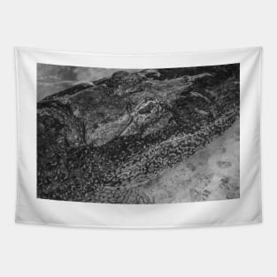 Relaxing Alligator black and white 3 Tapestry