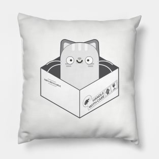 The Cat in the Box II Pillow