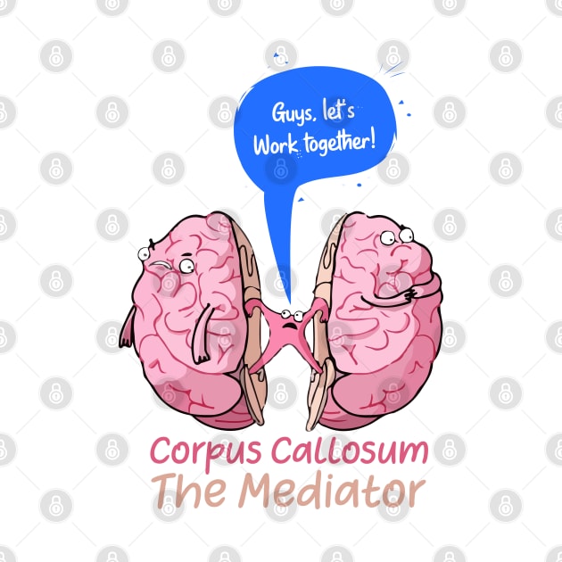 Corpus Callosum The Mediator of the two lobes of the brain by labstud