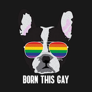 BORN THIS GAY - Boston Terrier Dog Gay Pride Rainbow Flag T-Shirt